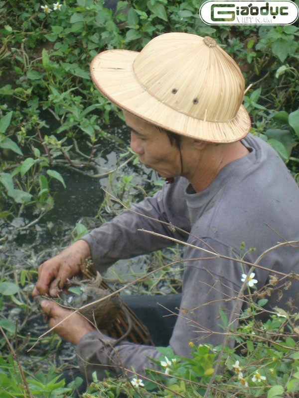 Có thể nguồn nước nơi chú chuột sống hơi đen, nhưng điều đó không quan trọng.